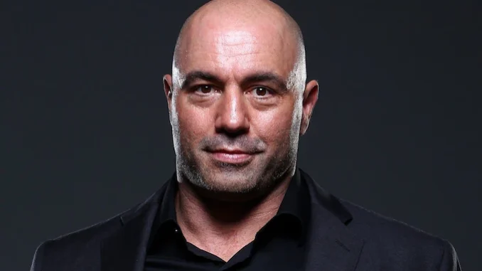 Comedian Joe Rogan image